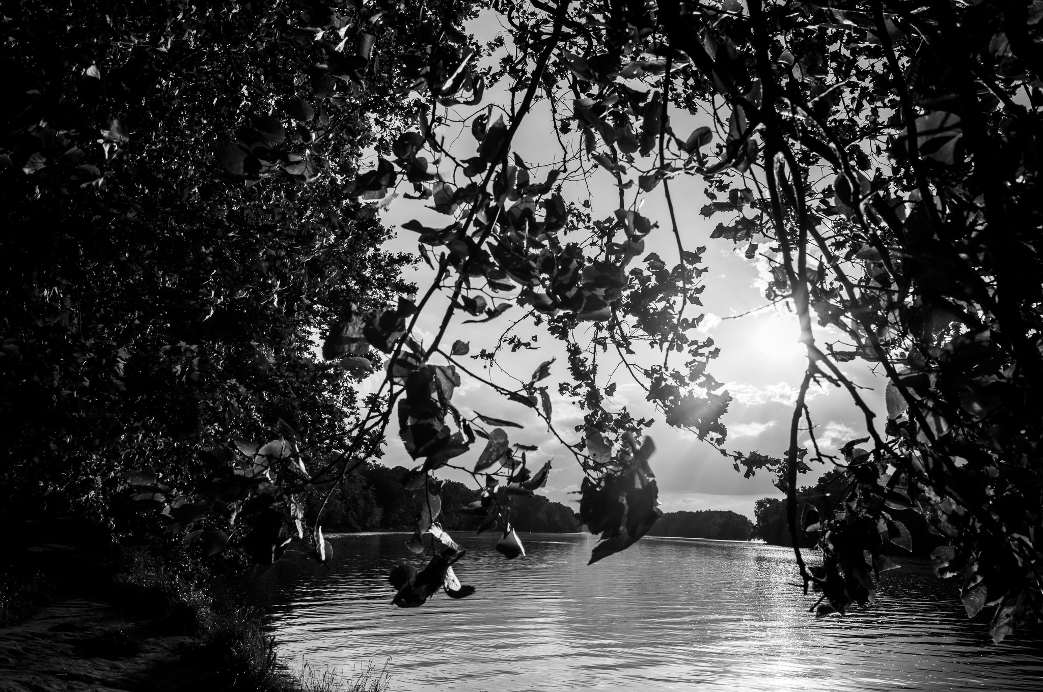 Misty mountains at dawn